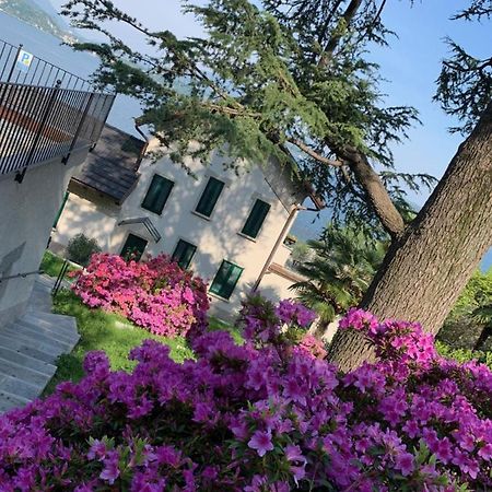 Giardini Magnolia Apartment Belgirate Exterior photo